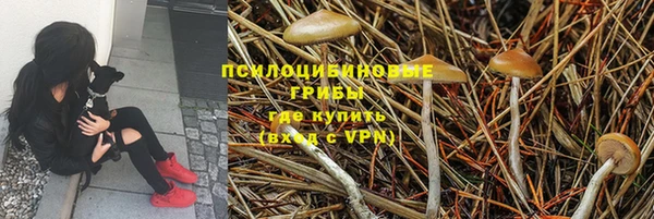 скорость Алексеевка