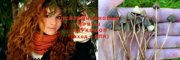 jwh Алзамай