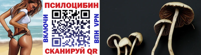 как найти наркотики  Сураж  Псилоцибиновые грибы мухоморы 